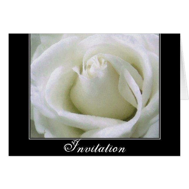 Passie _ (Voorkant Horizontaal)