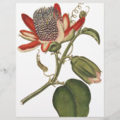 Passie-ventilator Flyer (Voorkant)