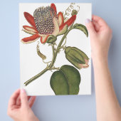  Passie-ventilator Flyer (Hand)