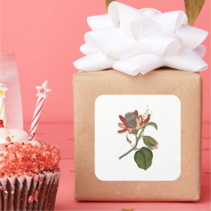  Passie-ventilator Vierkante Sticker