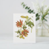Passiebloem Briefkaart (Staand voorkant)