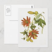 Passiebloem Briefkaart (Voorkant / Achterkant)