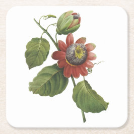 passiebloem (Passiflora alata) van Redouté Vierkante Kartonnen Onderzetter