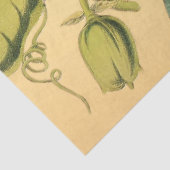 Passiebloem Rood Goud Illustratie Tissuepapier (Detail)