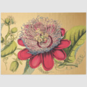 Passiebloem Rood Goud Illustratie Tissuepapier (Voorkant)