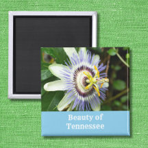 Passiebloem Tennessees Staatsbloem
