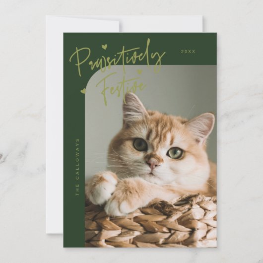 Passief Feestelijke Kattenfoto Groene Kerst Feestdagenkaart (Voorkant)