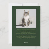 Passief Feestelijke Kattenfoto Groene Kerst Feestdagenkaart (Achterkant)