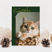 Passief Feestelijke Kattenfoto Groene Kerst Feestdagenkaart