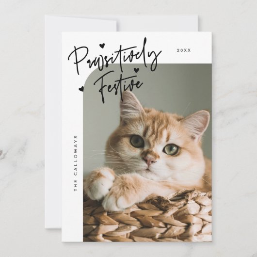 Passief feestelijke kattenfoto Witte kerst Feestdagenkaart (Voorkant)