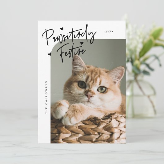 Passief feestelijke kattenfoto Witte kerst Feestdagenkaart (Staand voorkant)