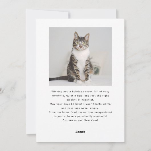 Passief feestelijke kattenfoto Witte kerst Feestdagenkaart (Achterkant)