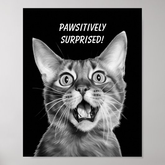 PASSIEF VERRAST! Grappige Crazy Cat Poster (Voorkant)