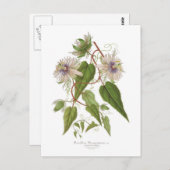 Passiflora baraquimima briefkaart (Voorkant / Achterkant)