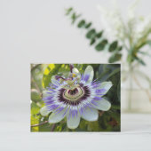 Passiflora edulis forma flavicarpa (Passievloer) Briefkaart (Staand voorkant)