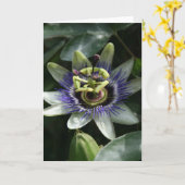 Passiflora - Fleur de la Passion Kaart (Gele Bloem)