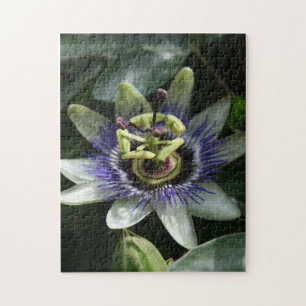 Passiflora Fleur de la Passion Puzzle de photos fl