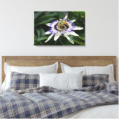 Passiflora - Floral fotografie Canvas Afdruk (Insitu (Slaapkamer))