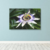 Passiflora - Floral fotografie Canvas Afdruk (Insitu (Houten vloer))
