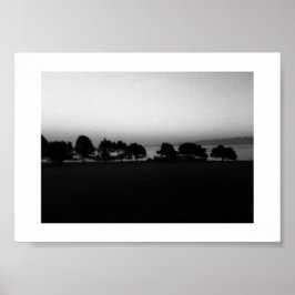 Passing Trees Canada Zwart-wit Fotografie Poster