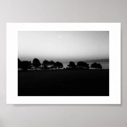 Passing Trees Canada Zwart-wit Fotografie Poster (Voorkant)