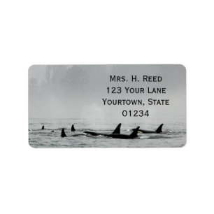 Passing Whales retouradreslabel Etiket