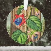 Passion ailée - Temple de la Flore - Noël