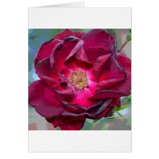 Passion Burgandy Flower (Voorkant)