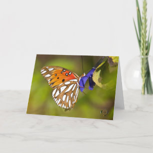 Passion Butterfly Omarm Lee Hiller Fotografie Kaart