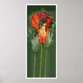 Passion Flower #6 Poster