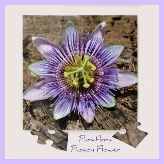 Passion Flower Blossom Botanical Photographic Legpuzzel