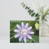 Passion Flower Briefkaart (Staand voorkant)
