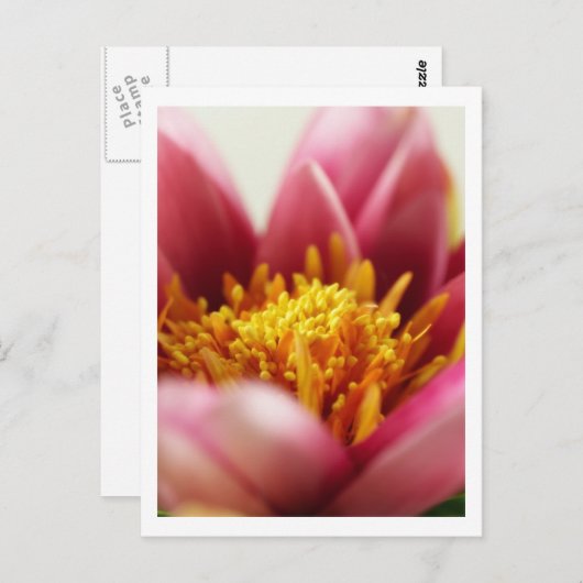 Passion Flower Briefkaart (Voorkant / Achterkant)