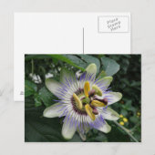 Passion Flower Briefkaart (Voorkant / Achterkant)