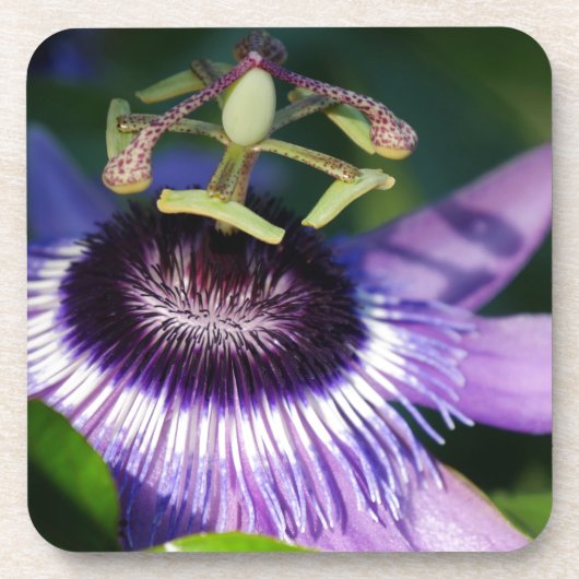 Passion Flower Drankjes Onderzetter (Voorkant)