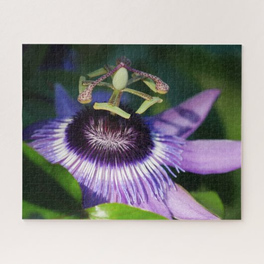 Passion Flower Jigzaag Puzzle Legpuzzel (Horizontaal)