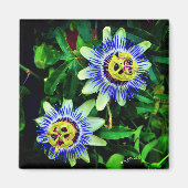 Passion Flower Magneet (Voorkant)