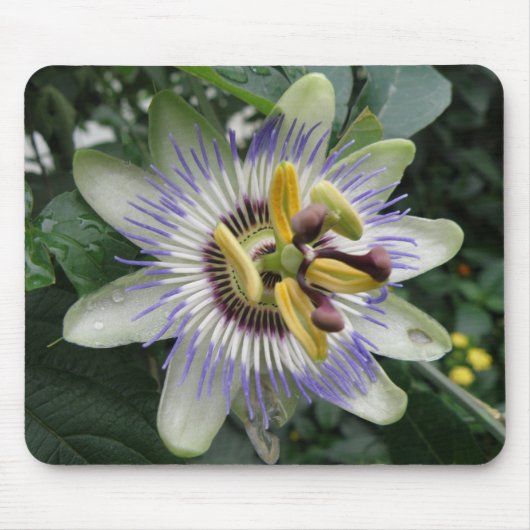 Passion Flower Mousepad Muismat (Voorkant)