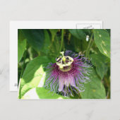 Passion Flower - Paars Briefkaart (Voorkant / Achterkant)