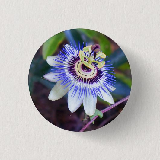 Passion Flower Pinback Button (Voorkant)