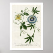 Passion Flower Print (Voorkant)