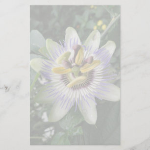 Passion Flower Stationery Briefpapier