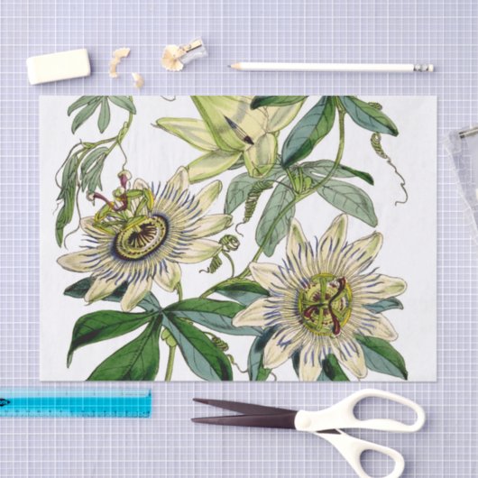 Passion Flower Vine Tissuepapier (Craft)