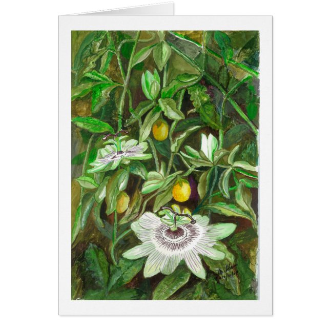 Passion Flowers (Voorkant)