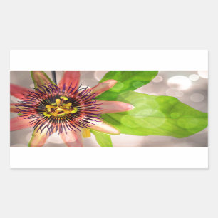 Passion Fruit Flower Rechthoekige Sticker