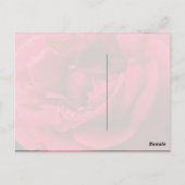 Passion Red Rose Bedankt Briefkaart (Achterkant)