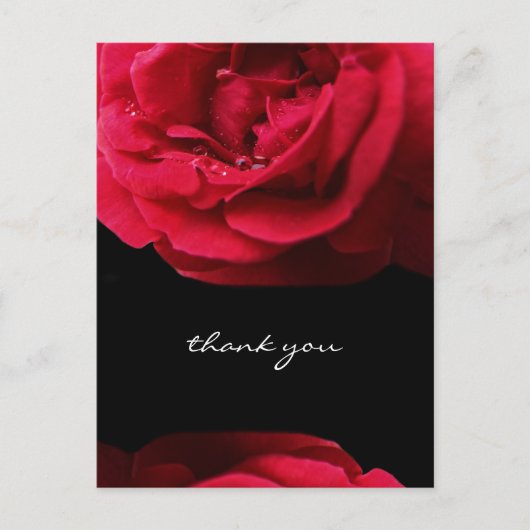 Passion Red Rose Bedankt Briefkaart (Voorkant)