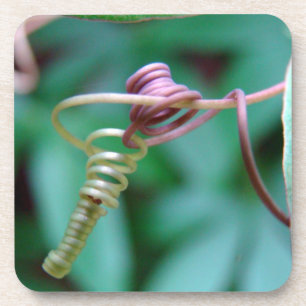 Passion Vine Cork Dessous de verre