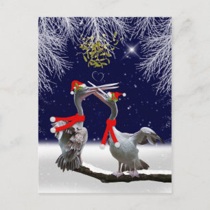 Passionate Pelicans Christmas Briefkaart