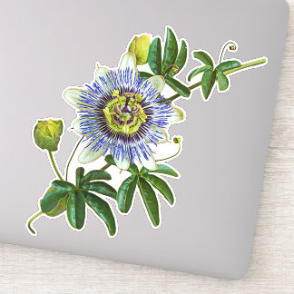 Passionflower aux herbes | Sticker en vinyle